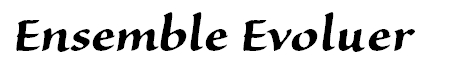 アンサンブル エヴォリュエ